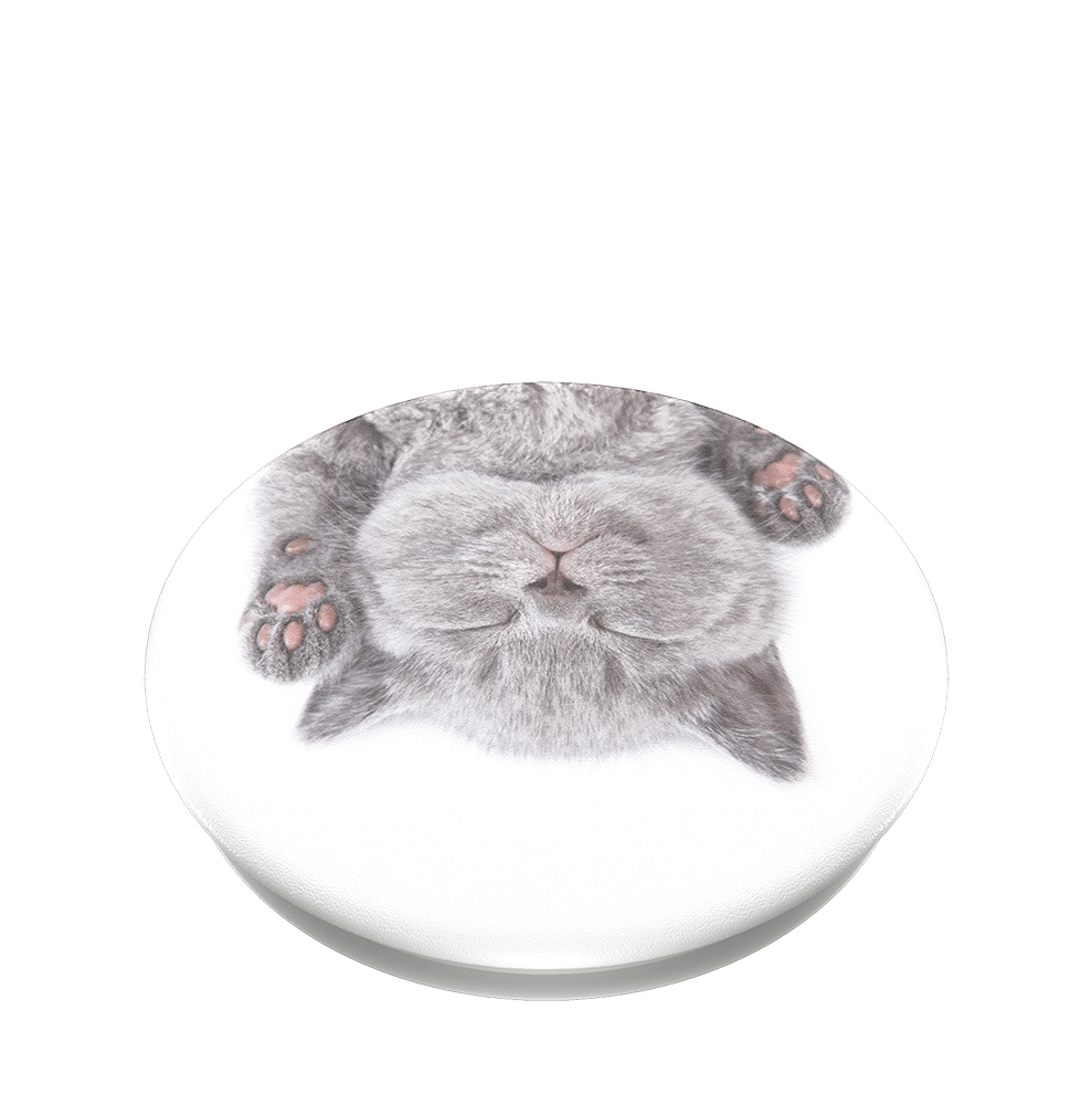 popsockets popgrip 2 Cat Nap