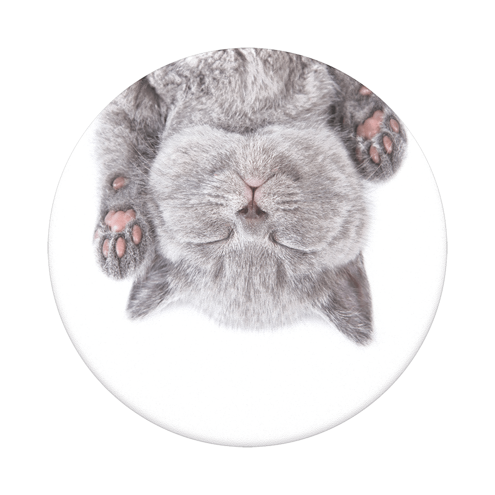 popsockets popgrip 2 Cat Nap