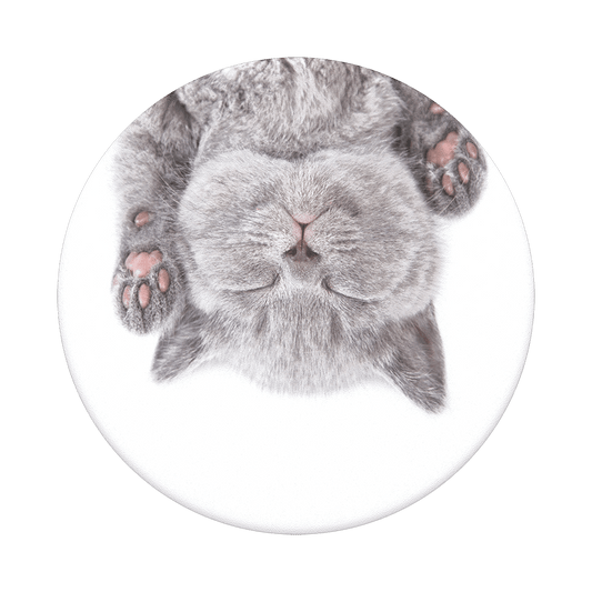 popsockets popgrip 2 Cat Nap