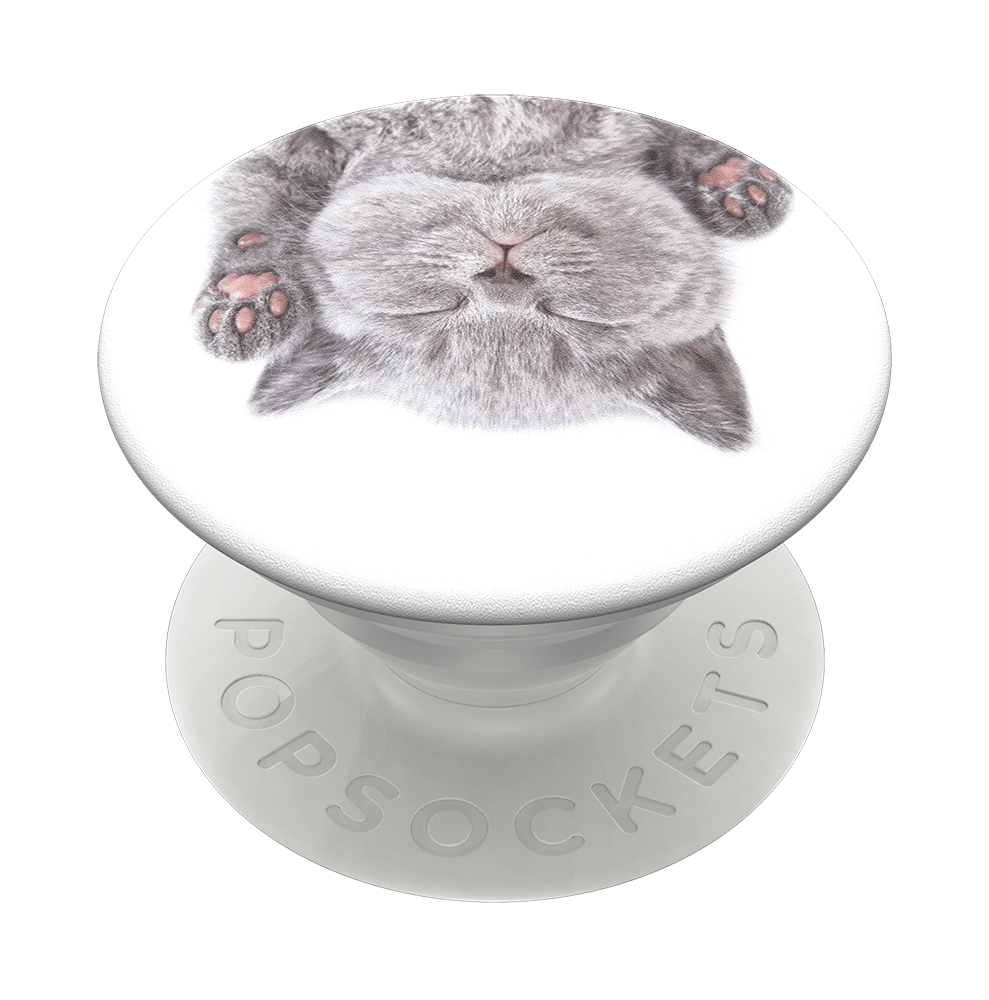 popsockets popgrip 2 Cat Nap