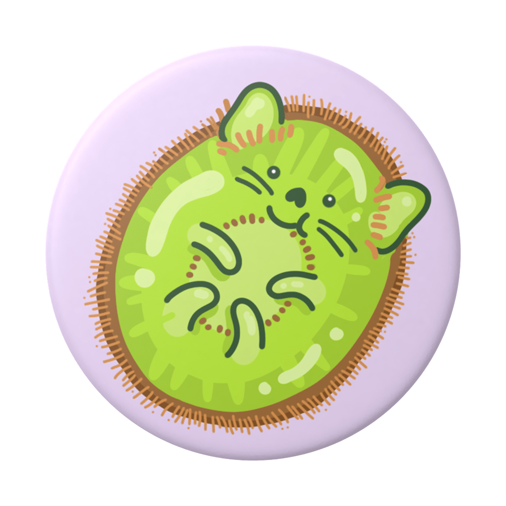 popsockets popgrip 2 kiwicat