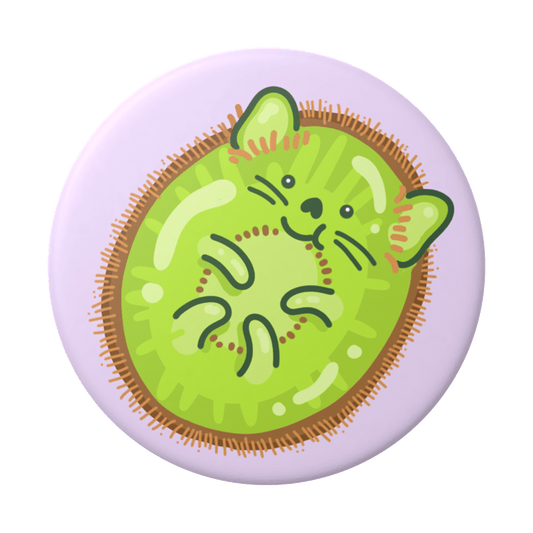 popsockets popgrip 2 kiwicat