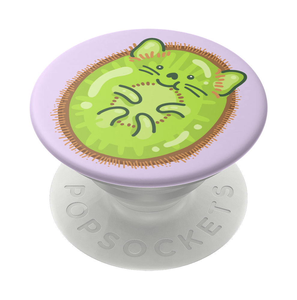 popsockets popgrip 2 kiwicat