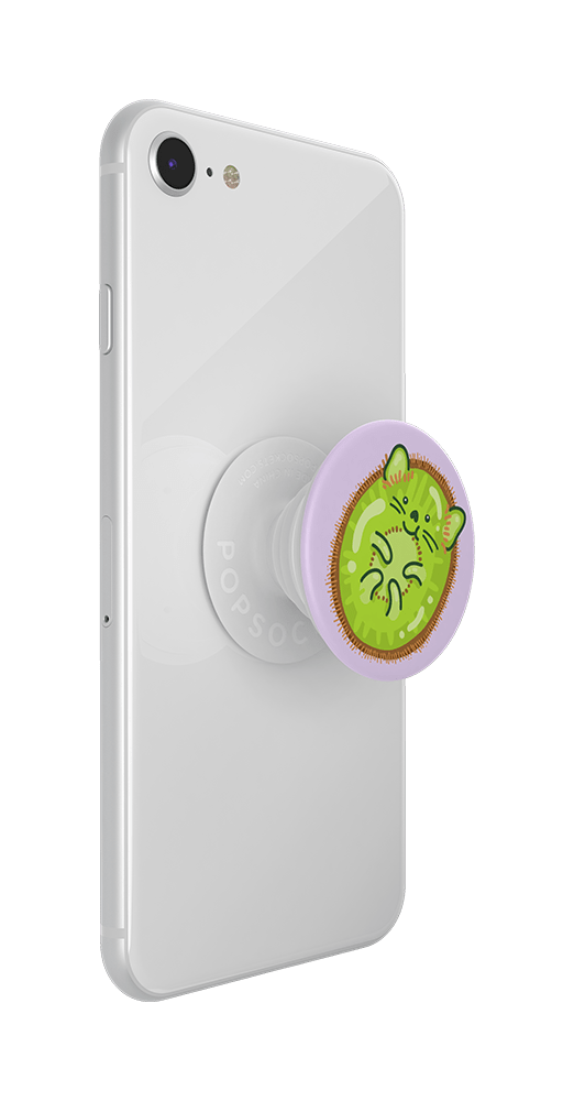 popsockets popgrip 2 kiwicat