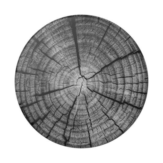 popsockets popgrip 2 out of the woods